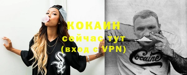 mdpv Заводоуковск