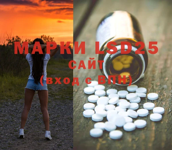 mdpv Заводоуковск