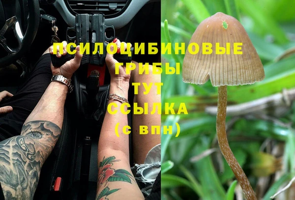 мет Заволжск