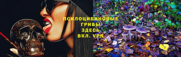 амф Заволжье