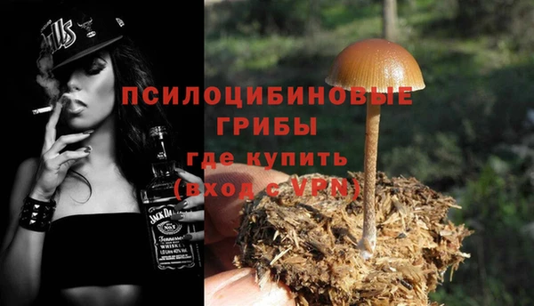 амф Заволжье