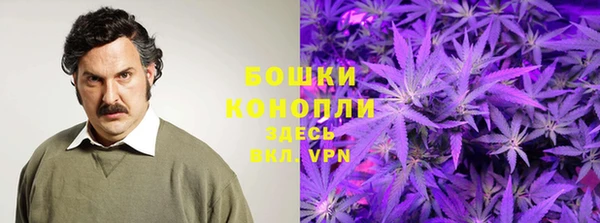 гидра Зерноград