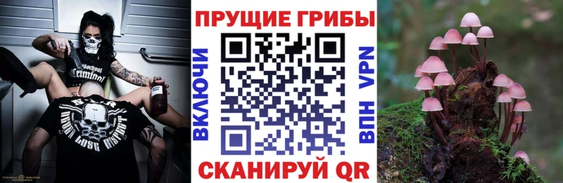 Псилоцибиновые грибы мицелий Карпинск
