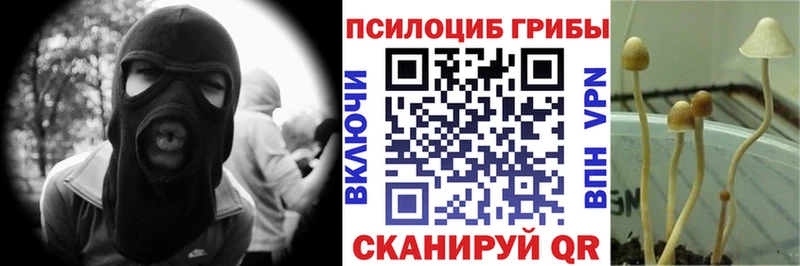 Псилоцибиновые грибы Cubensis  Карпинск 
